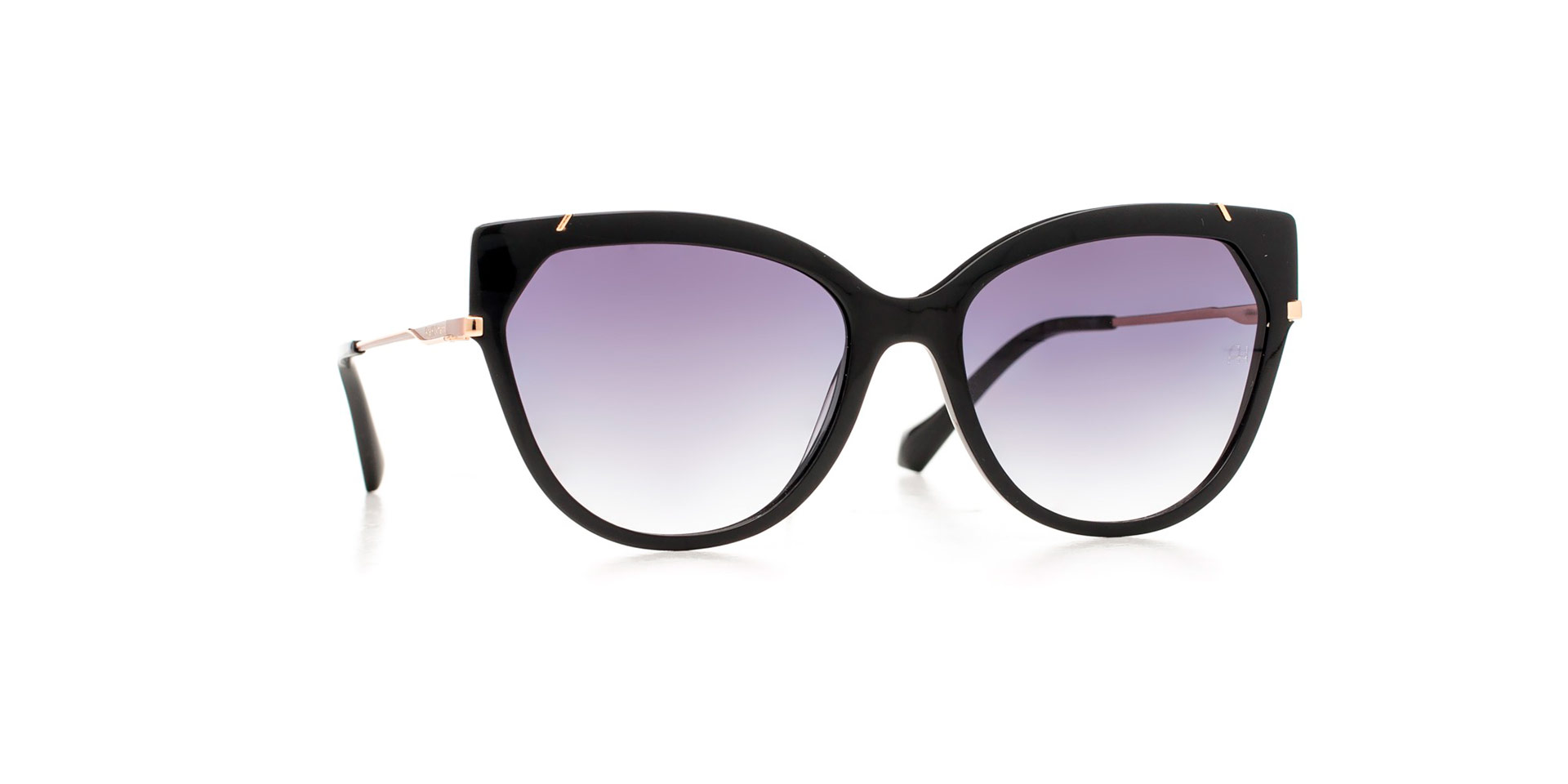 Солнцезащитные очки Ana Hickmann AH9339 A01 Солнцезащитные очки Ana Hickmann AH9339 A01