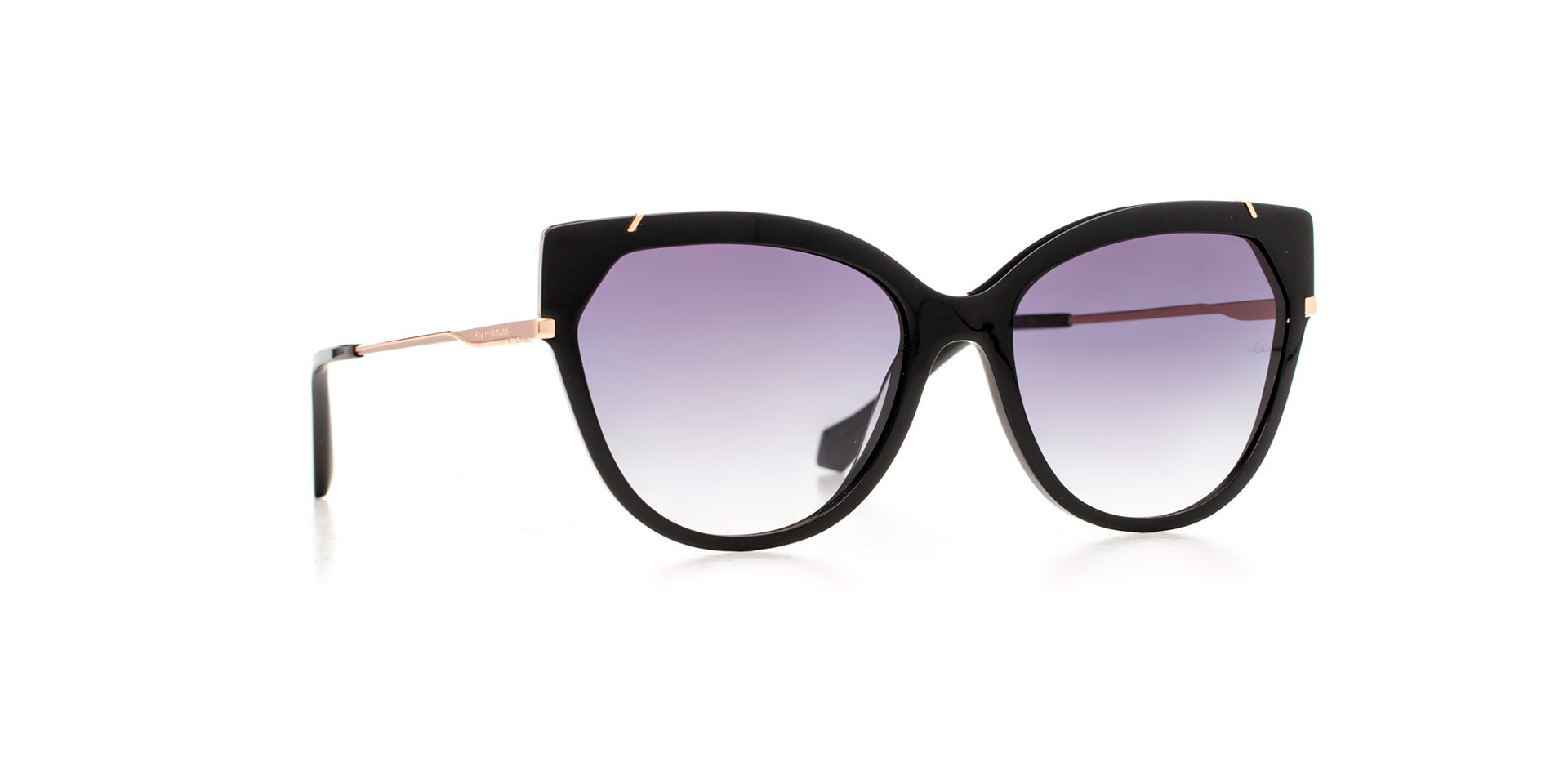 Солнцезащитные очки Ana Hickmann AH9339 A01 Солнцезащитные очки Ana Hickmann AH9339 A01