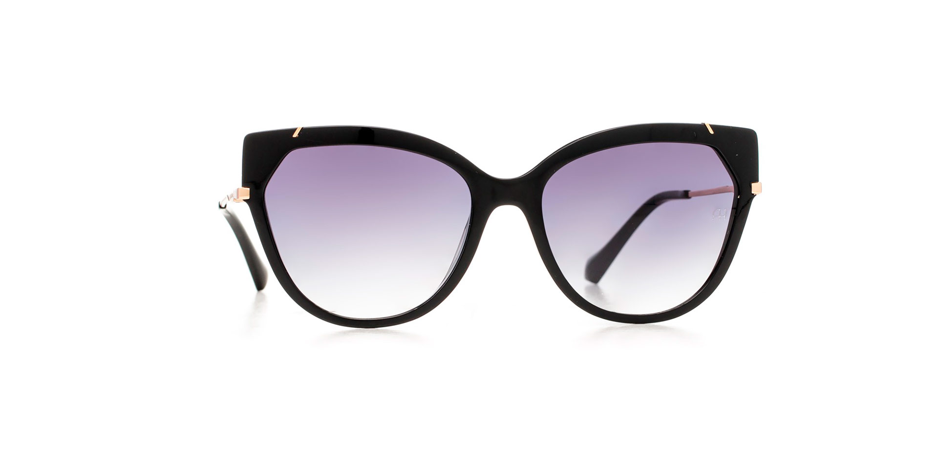 Солнцезащитные очки Ana Hickmann AH9339 A01 Солнцезащитные очки Ana Hickmann AH9339 A01